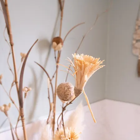 L'escapade Landaise *