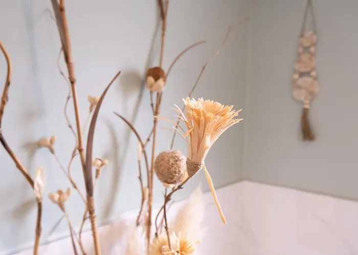 L'escapade Landaise *